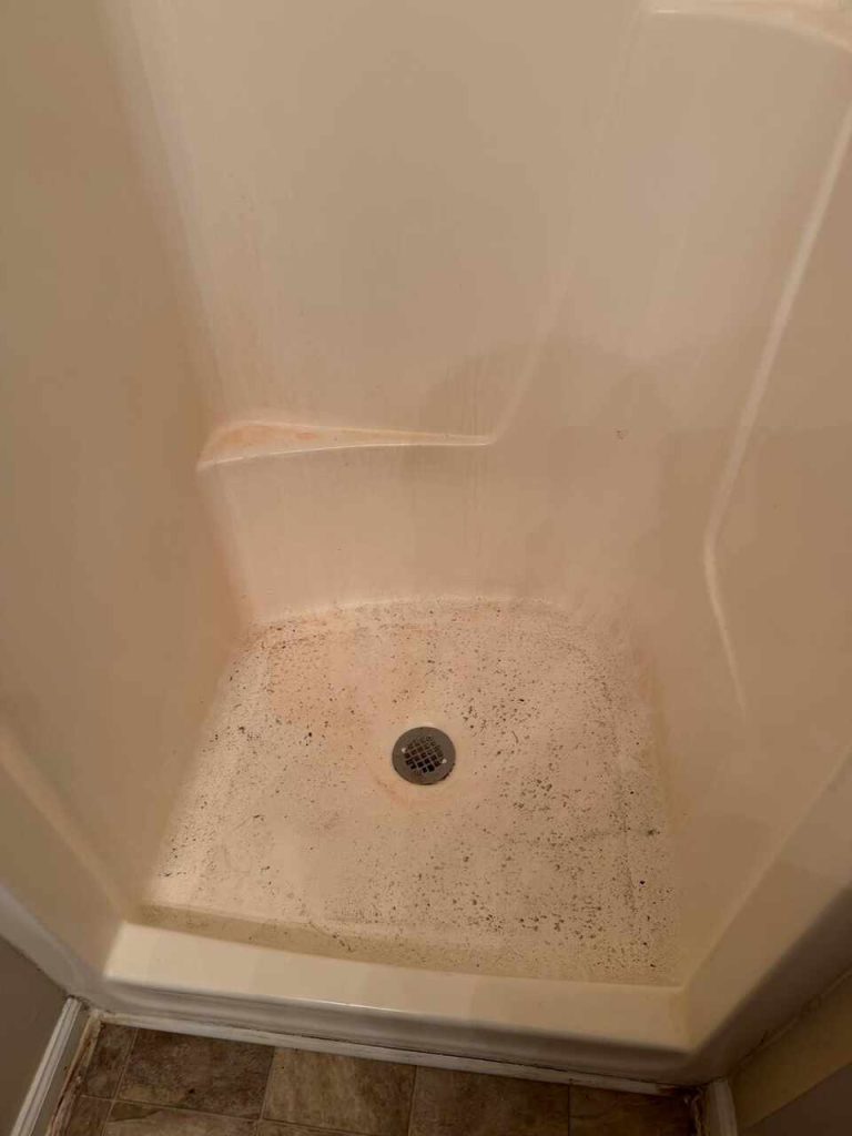 photo 2026 02 26 12 19 32 (1)