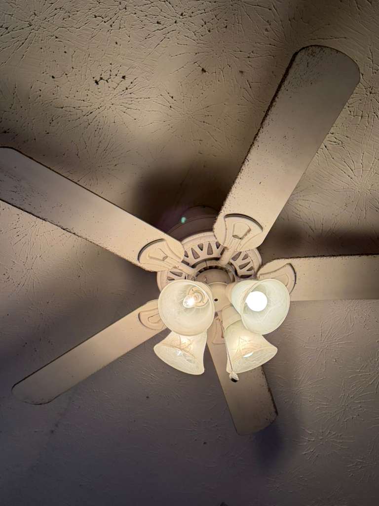 photo 2026 02 26 12 26 34 (1)