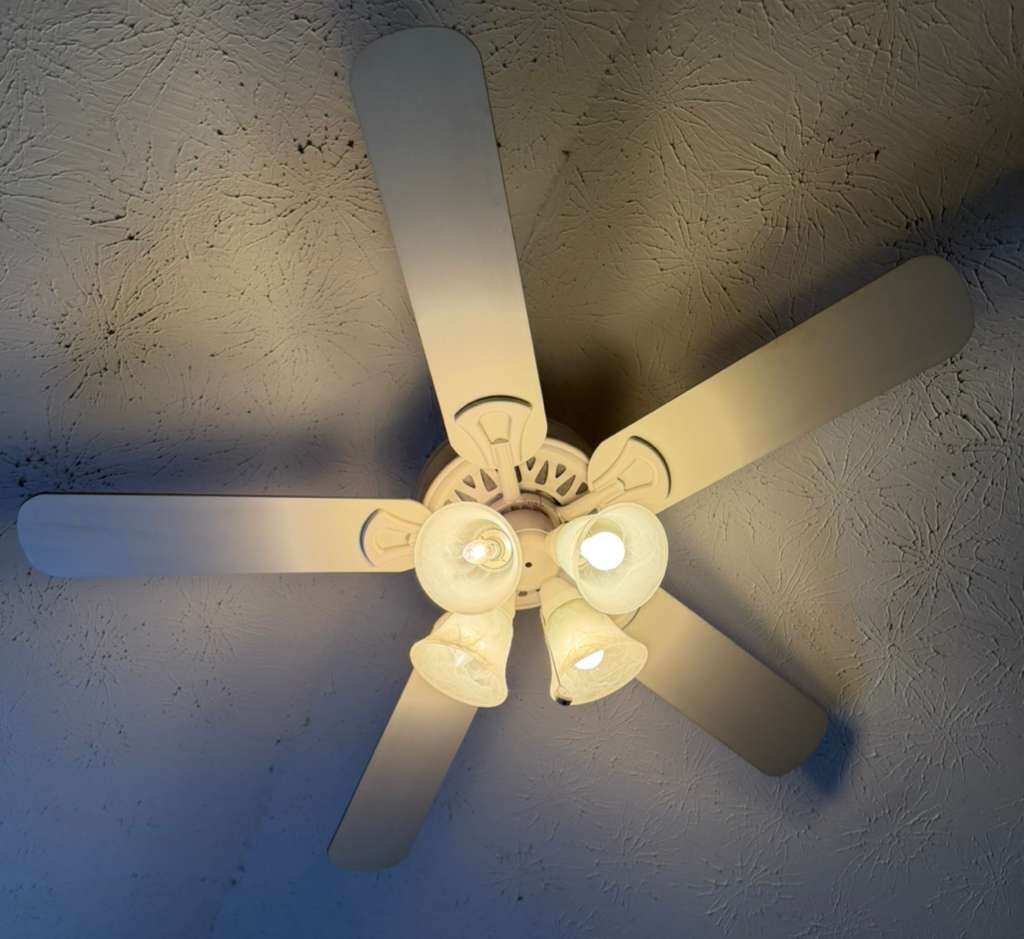 photo 2026 02 26 12 26 34 2 (1)